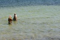 kerkennah-054.jpg