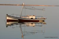 kerkennah-matin-ouled-kacem-100.jpg