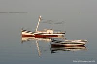 kerkennah-matin-ouled-kacem-101.jpg