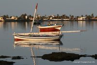 kerkennah-matin-ouled-kacem-105.jpg