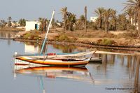 kerkennah-matin-ouled-kacem-107.jpg