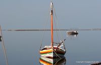 kerkennah-matin-ouled-kacem-108.jpg