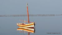 kerkennah-matin-ouled-kacem-109.jpg