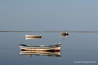 kerkennah-matin-ouled-kacem-110.jpg