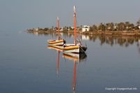 kerkennah-matin-ouled-kacem-111.jpg