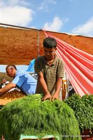 kerkennah-souk-jeudi-remla-22.jpg