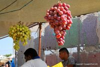 kerkennah-souk-jeudi-remla-24.jpg