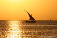 kerkennah-sidi-froj-coucher-soleil-81.jpg